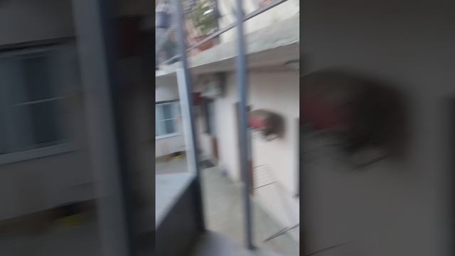 1000162438.mp4