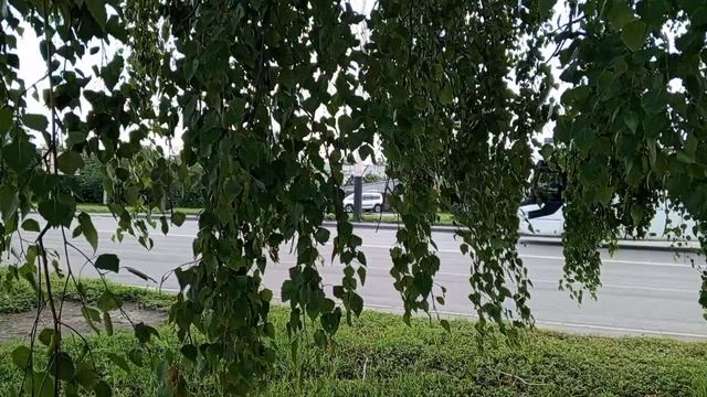 Тамбов, конец июня