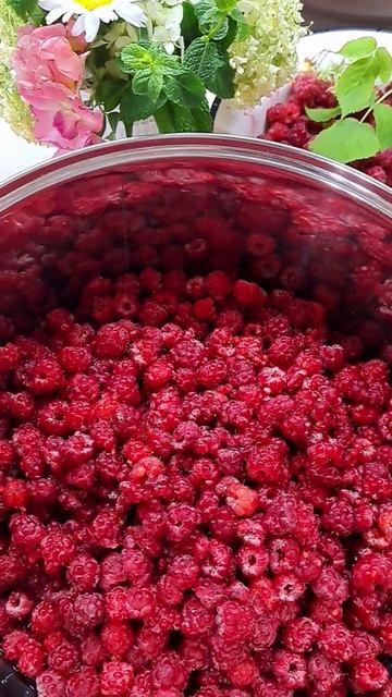 Собрали малину, варим варенье!😋😋😋