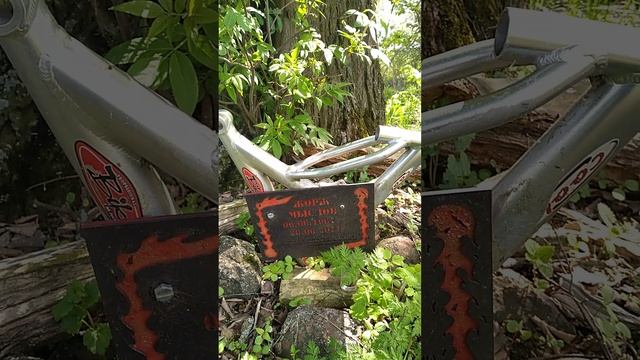 Пришли на место гибели велосипедиста, где полуостров разделяет реку Клязьма и старое русло реки