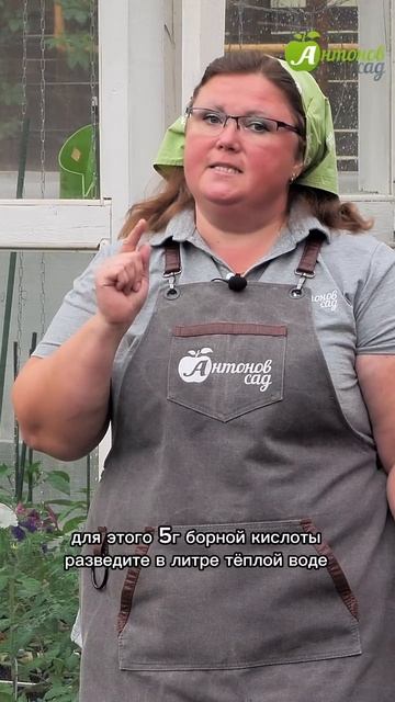Подкормите клубнику борной кислотой!
