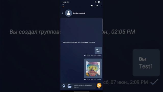 iridium chat - Часть 4 - пример работы через спутниковую сеть Иридиум (через iridium GO! exec)