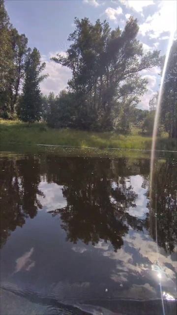 Катимся за окунем 😁