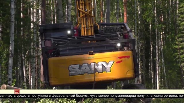 Весомый вклад в экономику 23.06.2025