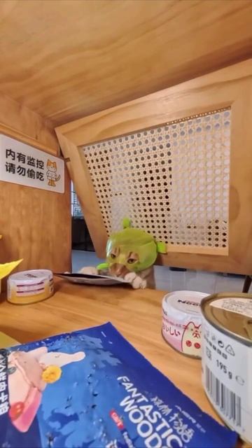 Котоограбление