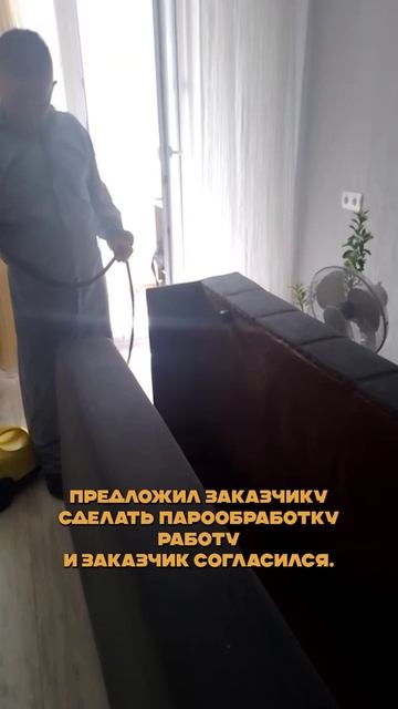 🔥 Пар против клопов: Термическая ПУБЛИЧНАЯ КАЗНЬ или Опасная Иллюзия?