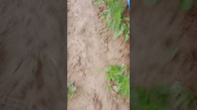 1000070483.mp4