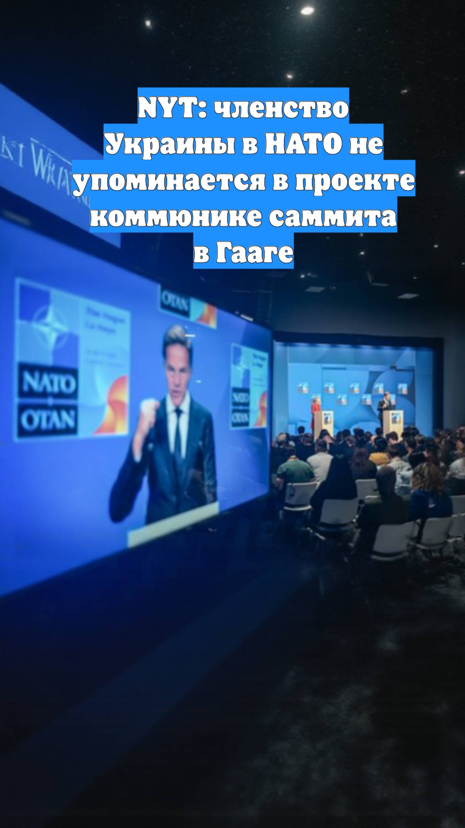 NYT: членство Украины в НАТО не упоминается в проекте коммюнике саммита в Гааге
