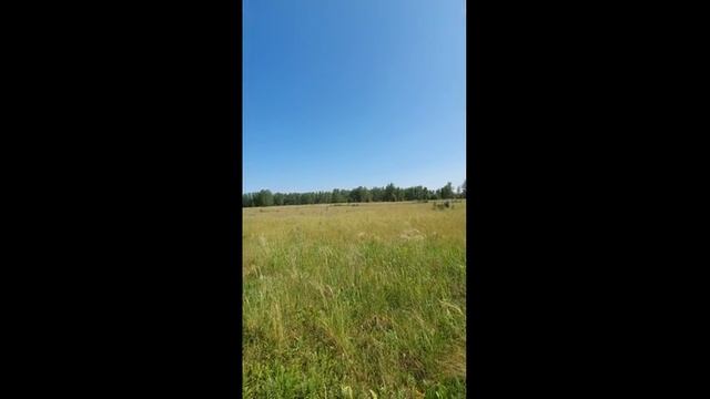 20250611_144607 (online-video-cutter.com)