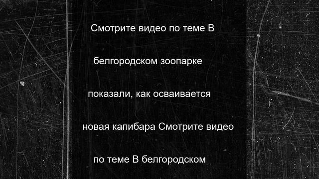 В белгородском зоопарке показали, как осваивается новая капибара
