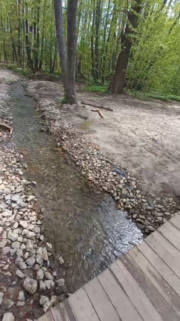 VID_20250502_121404_971_001