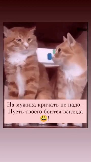 На мужика кричать не надо #некринж