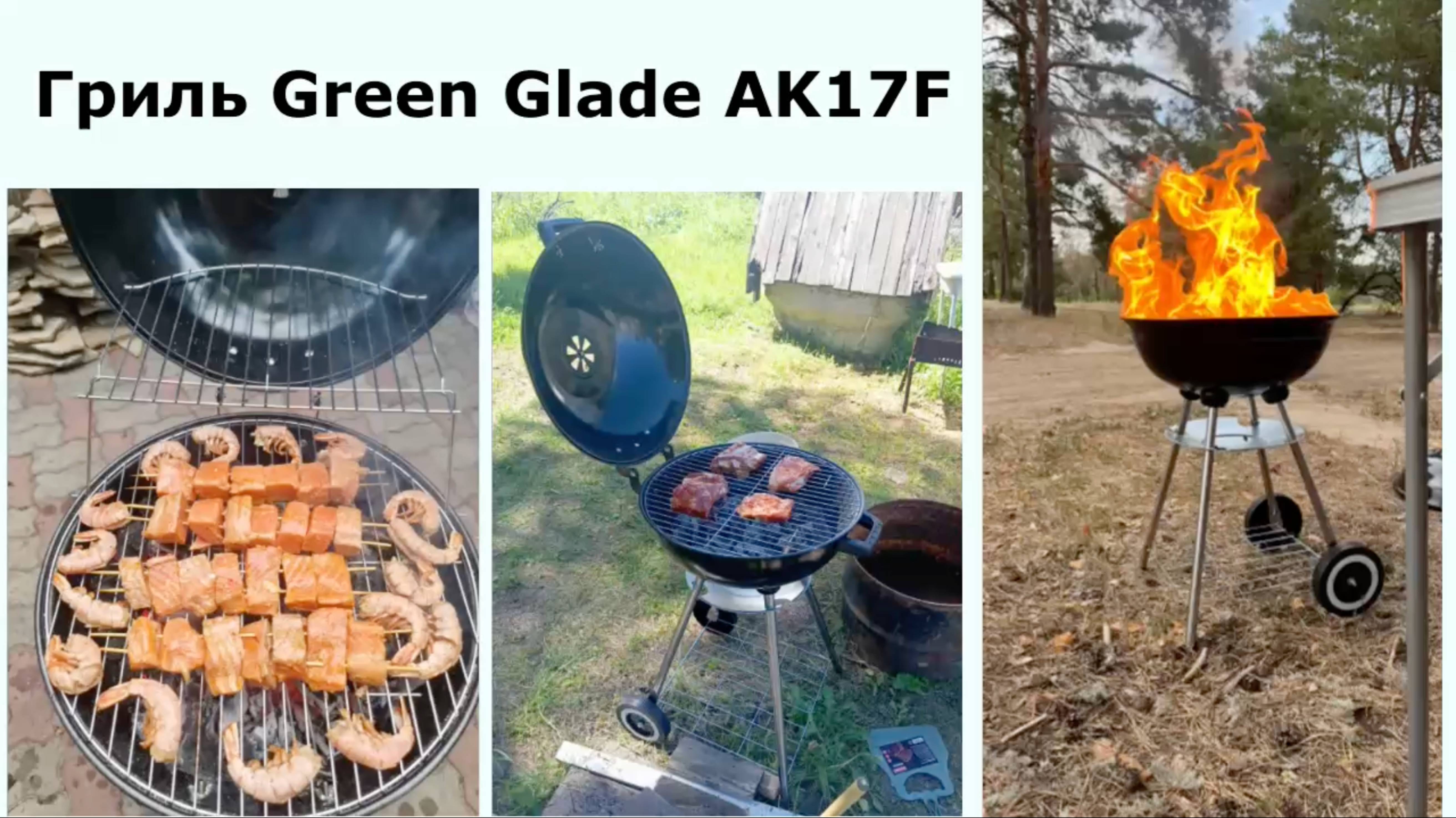 Гриль-барбекю Green Glade AK17F