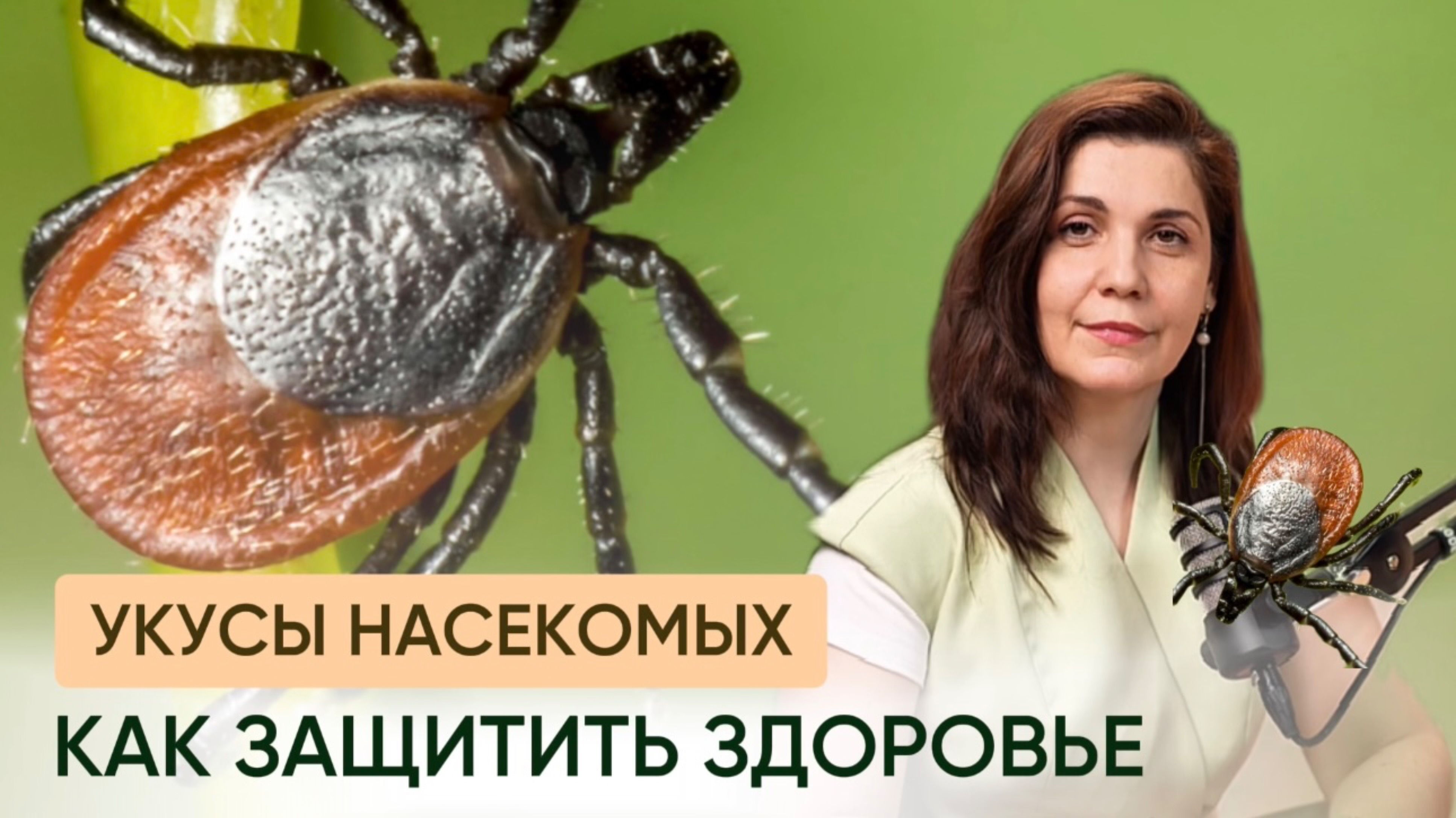 Опасные укусы насекомых и клещей летом: как распознать и защитить здоровье