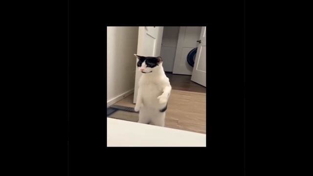 Танец