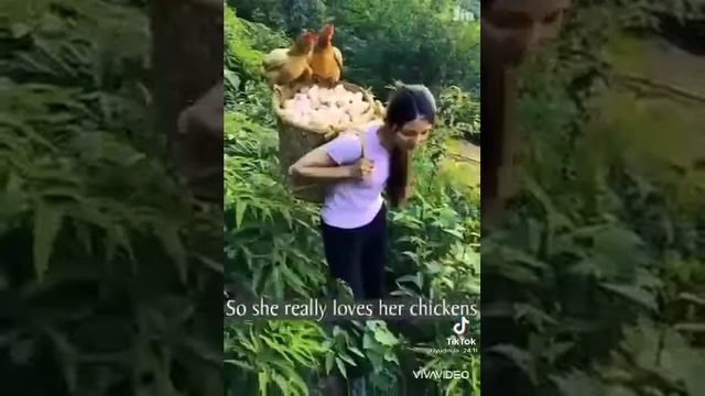 ✊️Яйца некуда Складывать!)/Яйца собирают Телегами)))Thousands of Chicken Eggs