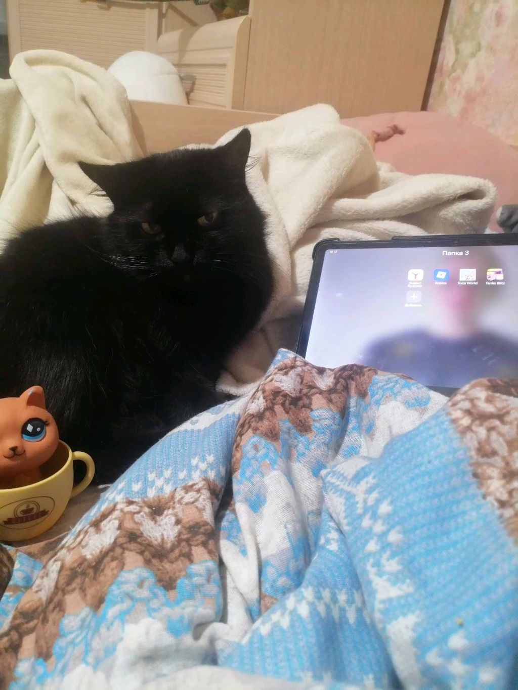 вы выбираете в какую игру играть с моей хозяйке!