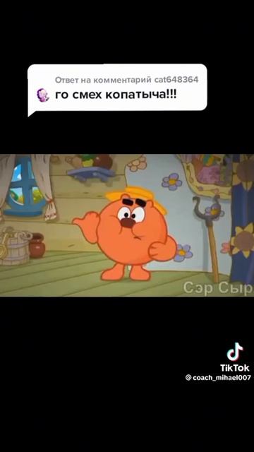 Угарный мем про смешариков