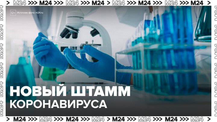 В РФ появился новый штамм коронавирусной инфекции - Москва 24
