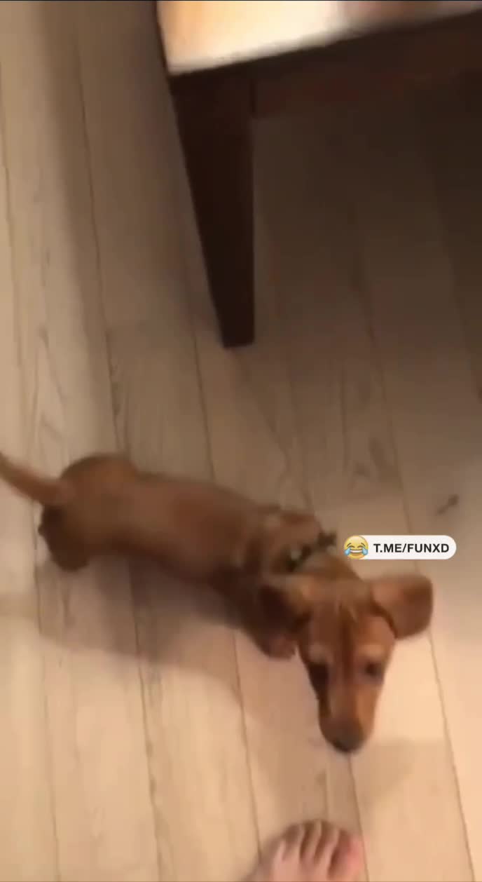 Интересная игра😅