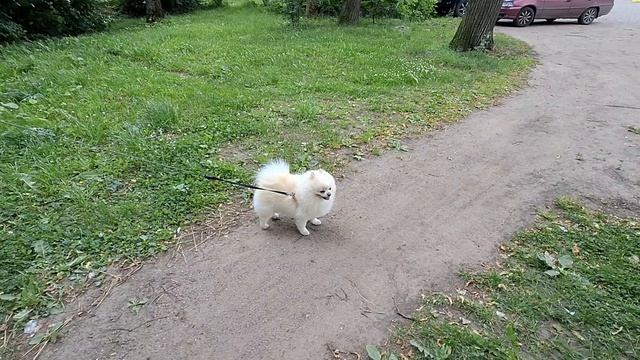 Бабаево: станция железнодорожного вокзала! 🚉✨"