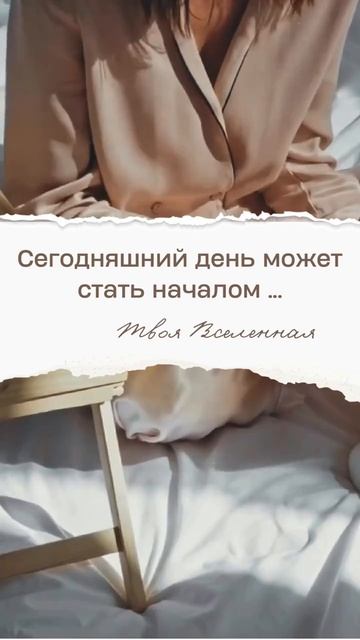 Послание от Вселенной 💫 #мотивацияивдохновение #позитивноемышление #силасознания #аффирмации