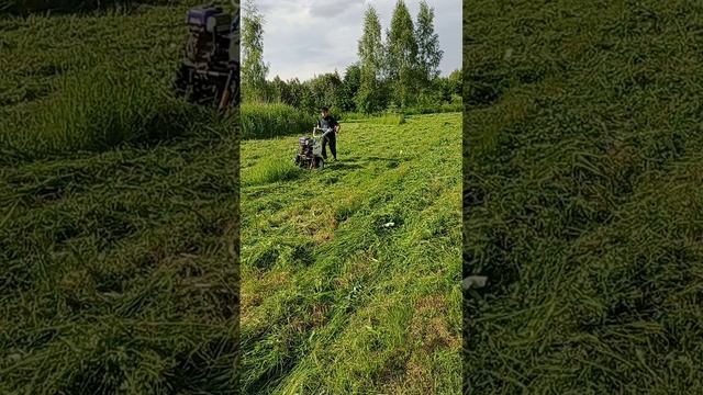 1000070517.mp4