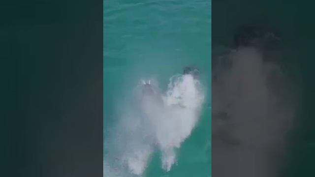 Реактивный ранец для воды