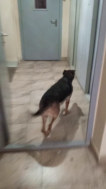 Лайза собралась на прогулку.