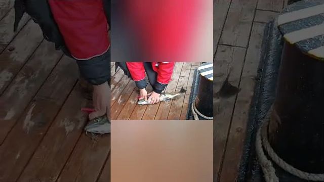 1000144838.mp4