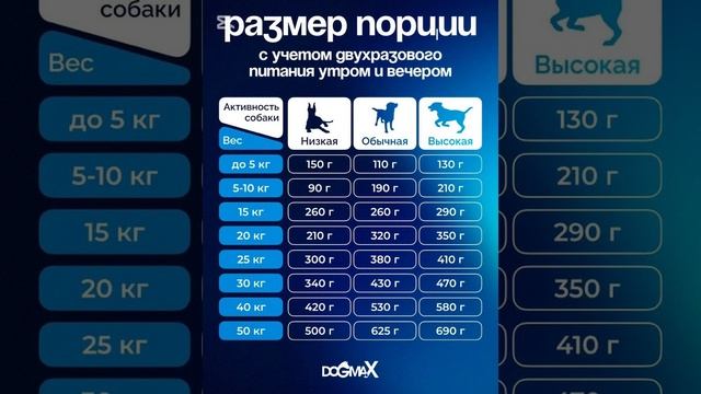 Корм для собак и кошек