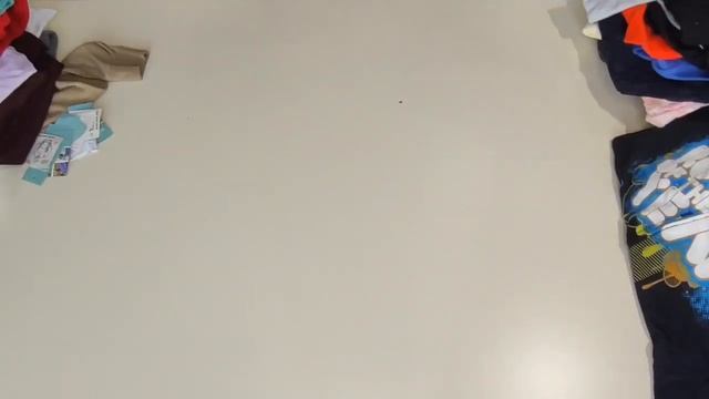Лот 083 СТОК Толстовки мж Канада цена 1560ркг вес 19,8кг 39ед