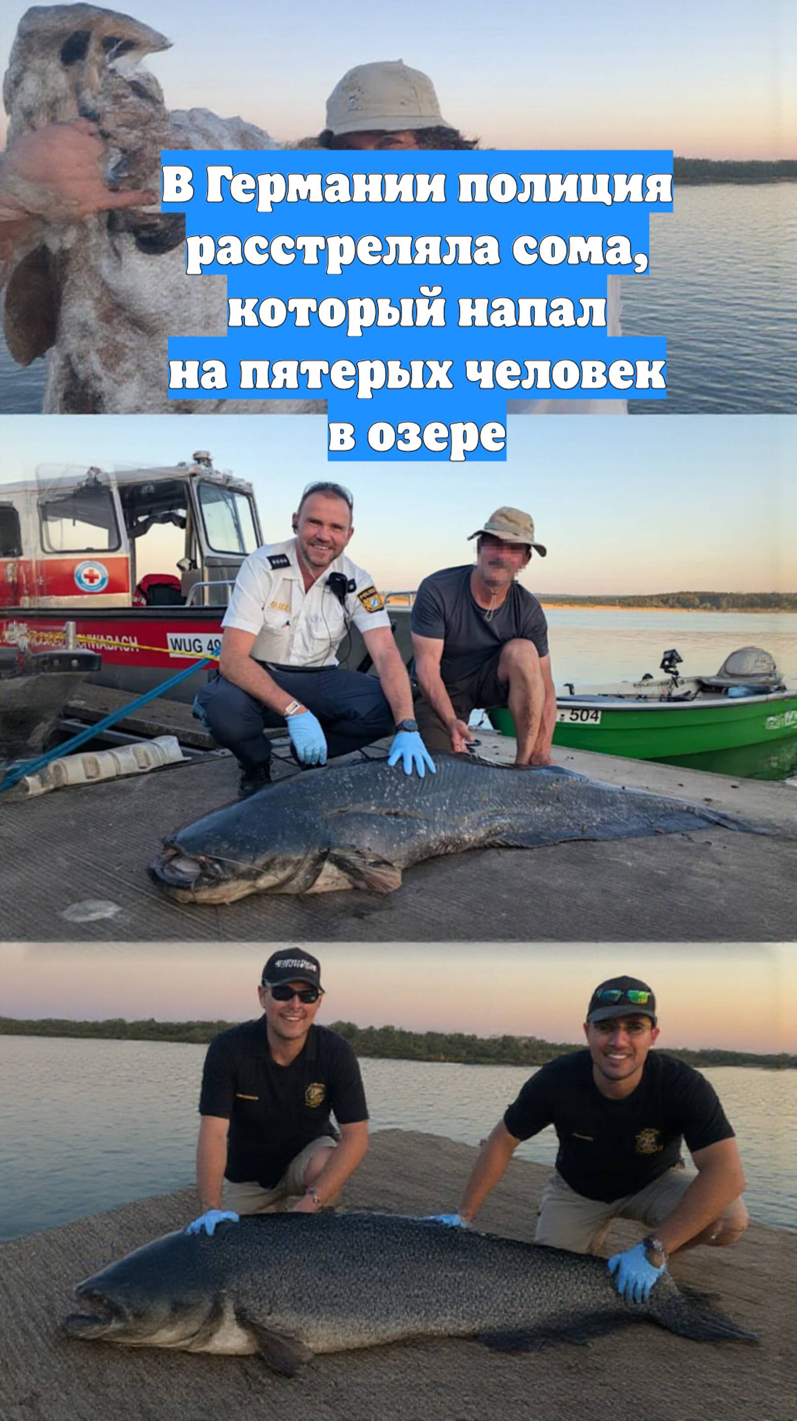 В Германии полиция расстреляла сома, который напал на пятерых человек в озере