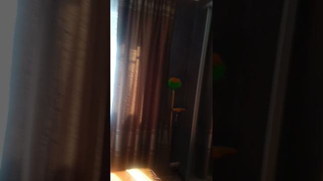 Хочу показать как я живу