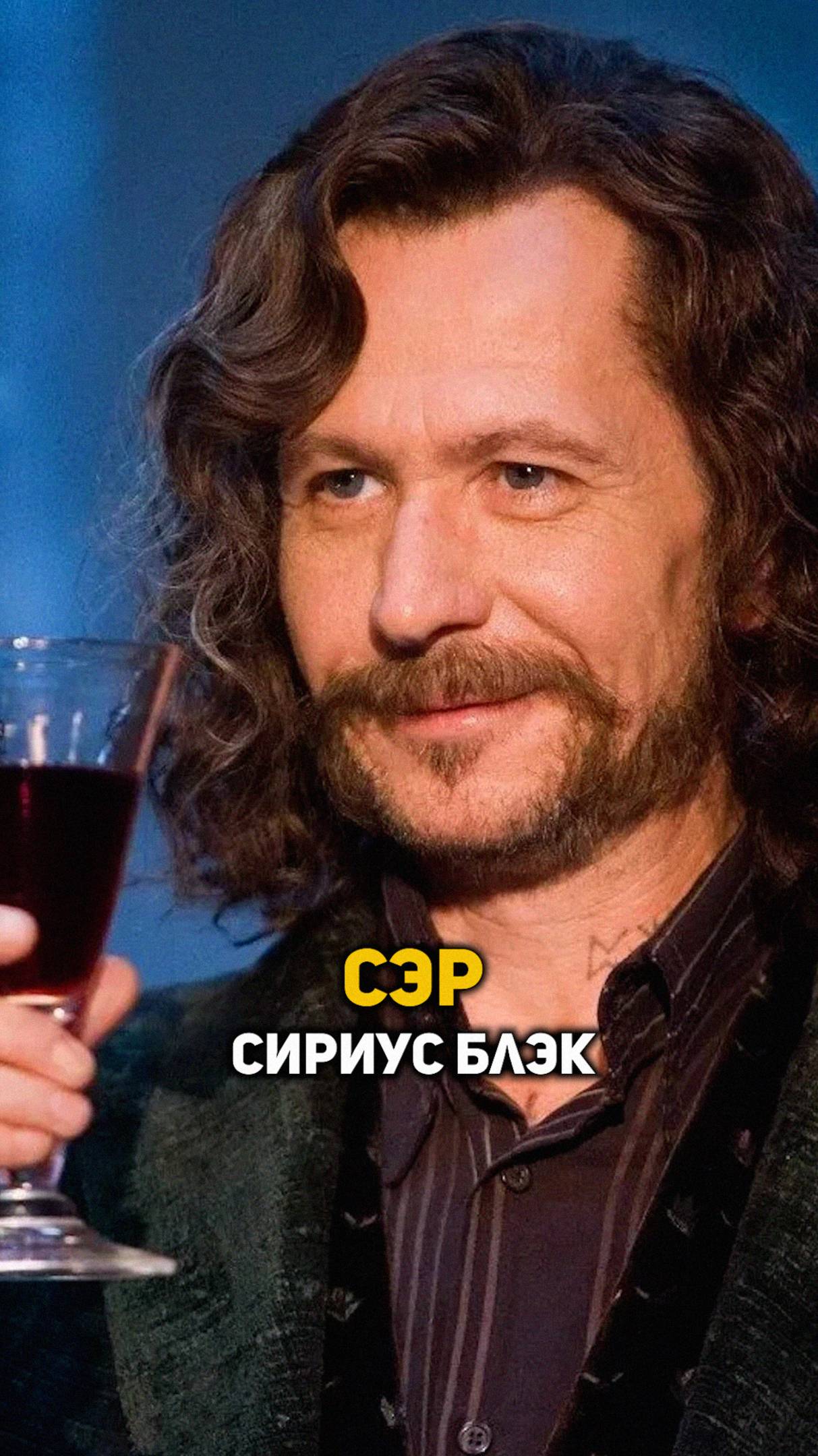 Сэр Сириус Блэк #гаррипоттер #shorts