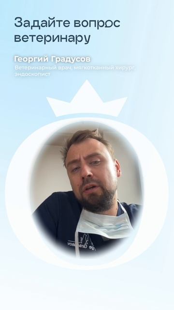Почему собаку тошнит?