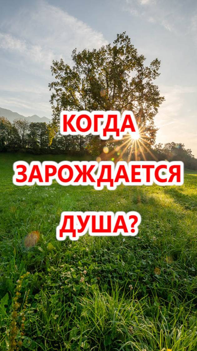 Когда зарождается душа?