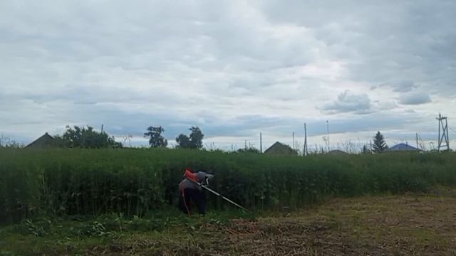 VID-20250625-WA0007.mp4