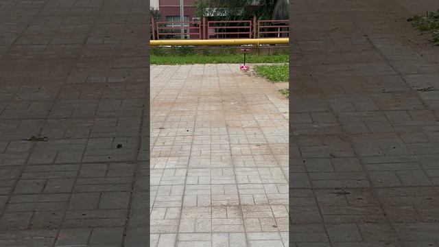 Кто чемпион в чикен буминге