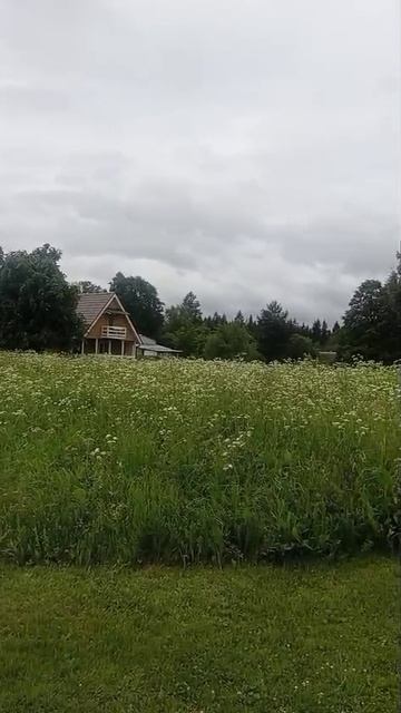 д. Петраково 50:18:0050204:684