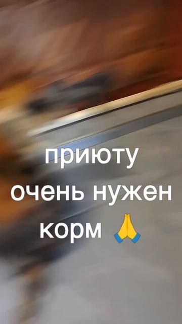+7985 193 0027