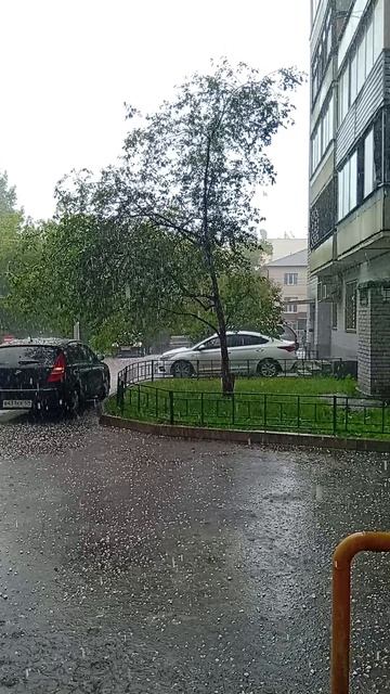 1000019382.mp4