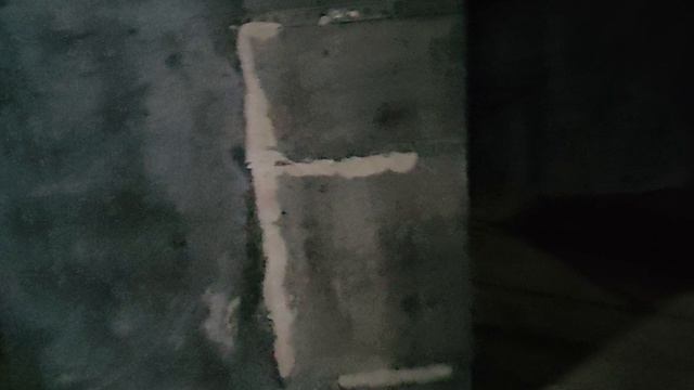 дом Дау обследование