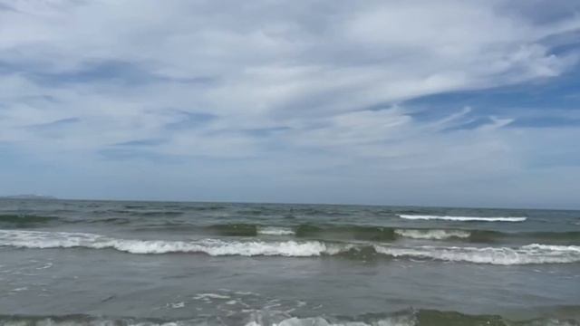 26 августа 2024.      Насобирала ракушек 🐚🐚🐚 А как вы считаете, ракушка хороший сувенир/подарок?