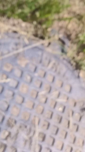 пацан