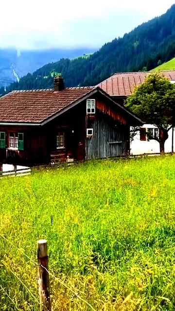 Камера покажет правду
