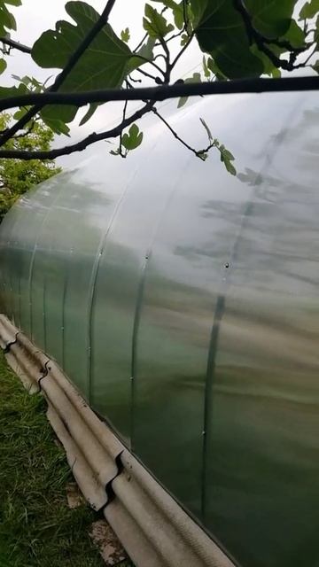 VID-20250617-WA0026