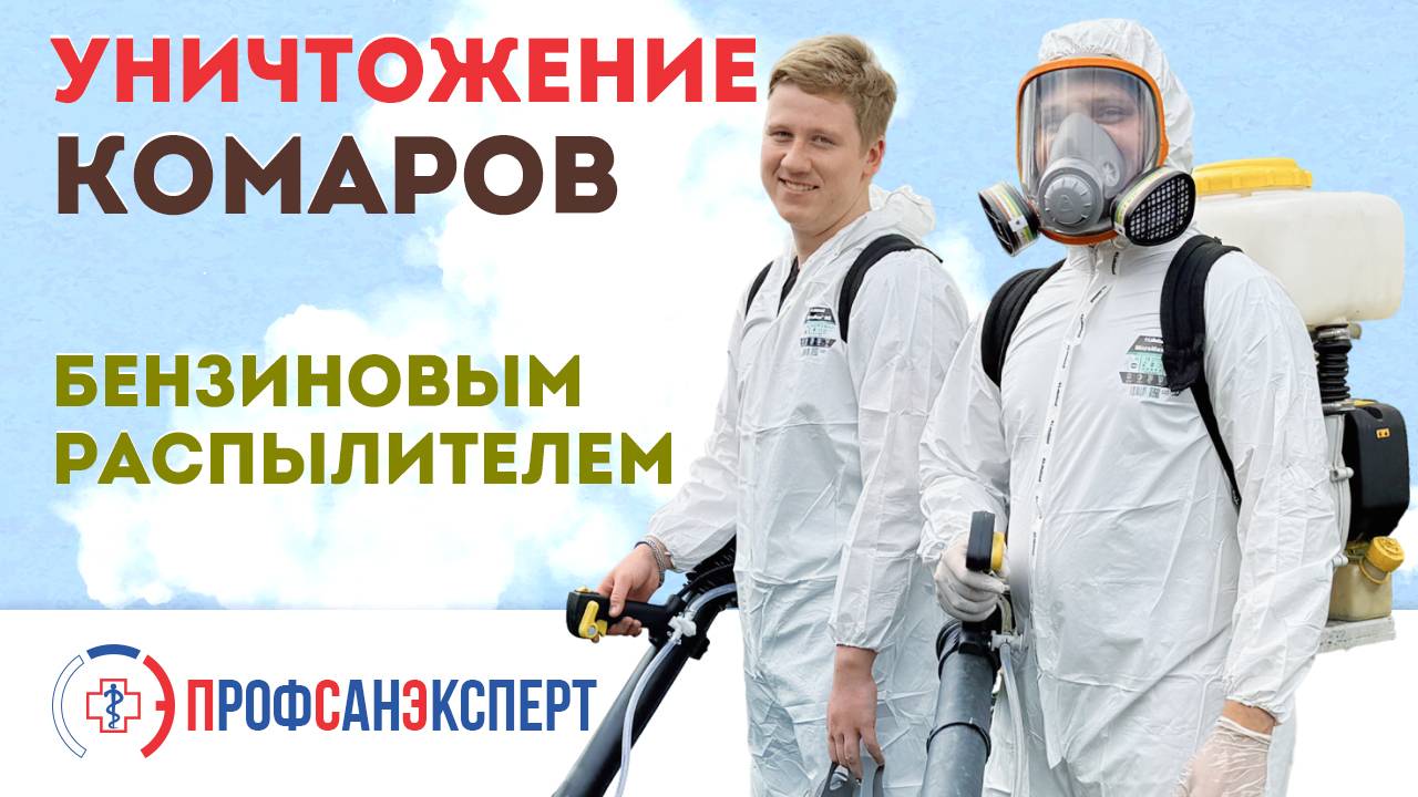 Уничтожение комаров бензиновым распылителем на придомовом участке