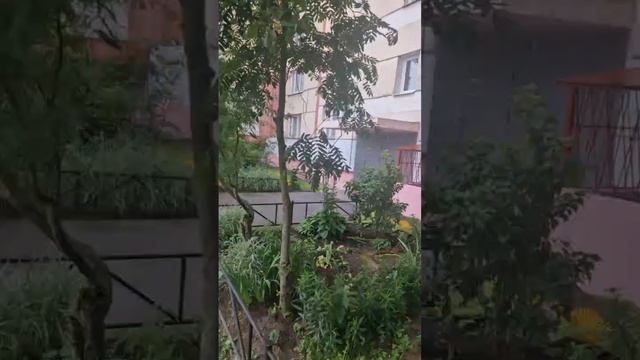 г. Санкт-Петербург, Комендантский проспект, д. 31, корпус 5 ,  +79108010046 Георгий