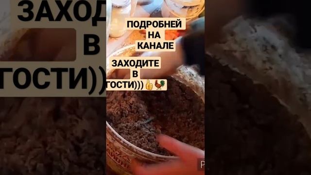 Куры несутся и зимой и летом!//Hens receiving eggs.